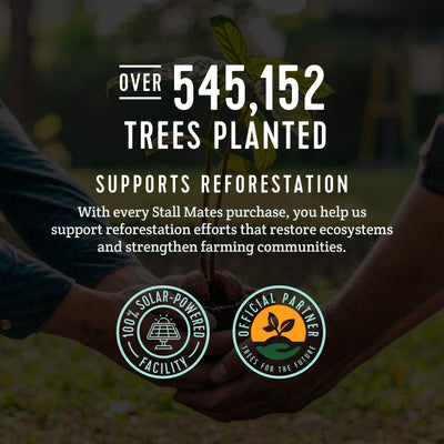 Stall Mates Wipes Witch Hazel: Flushable Wipes | Individually Wrapped | (30 on-the-go singles)